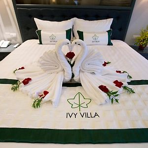 Ivy Villa